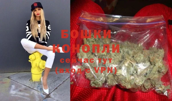 первитин Осинники