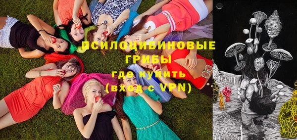 первитин Осинники